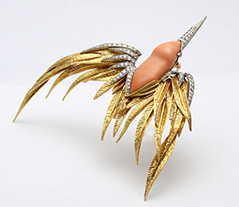 Sterle bird w coral